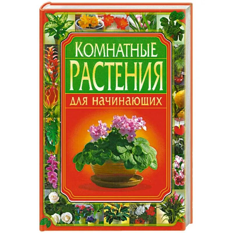 Комнатные растения книга для любителей цветоводов. Книги о комнатных растениях. Г. Книга комнатных цветов. Книга комнатных цветов.