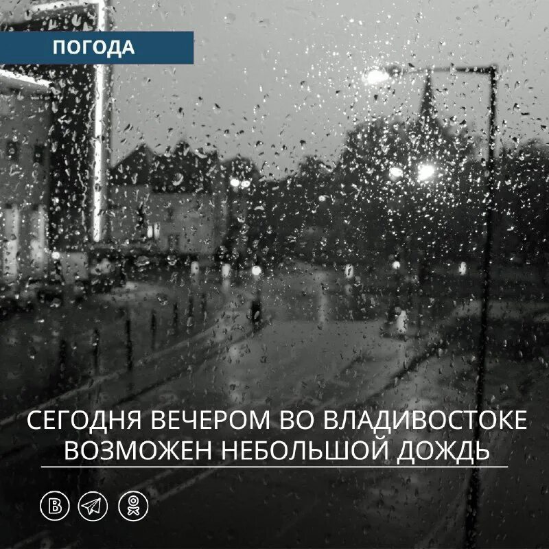 подснежники солнце. погода владивосток. восточный форум. владивосток погода сейчас. примгидромет прогноз погоды владивосток.