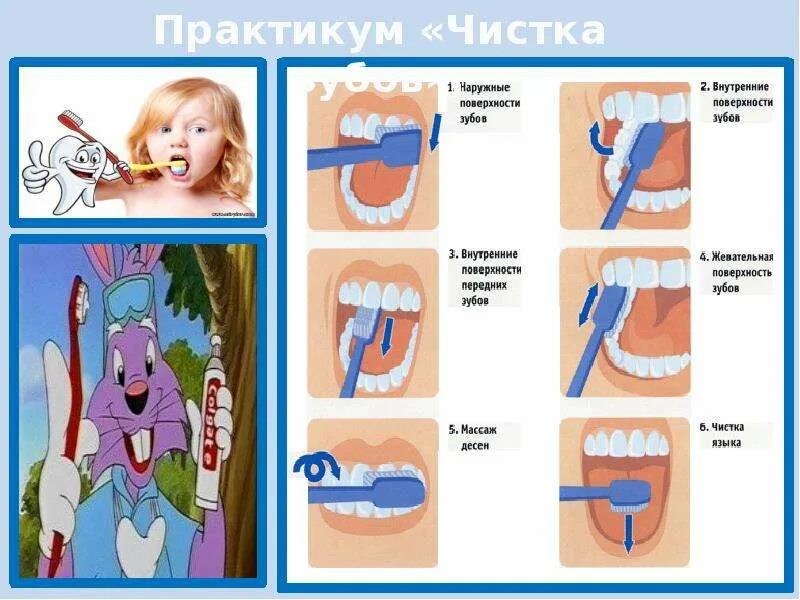 Презентация чистить зубы. Правильно чистить зубы.
