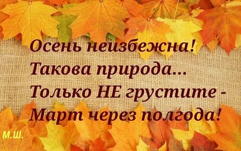 Высказывания об осени
