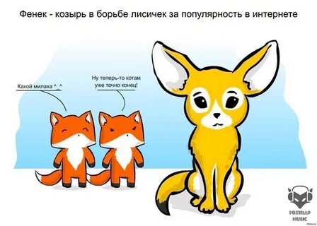 Я не киса а лиса