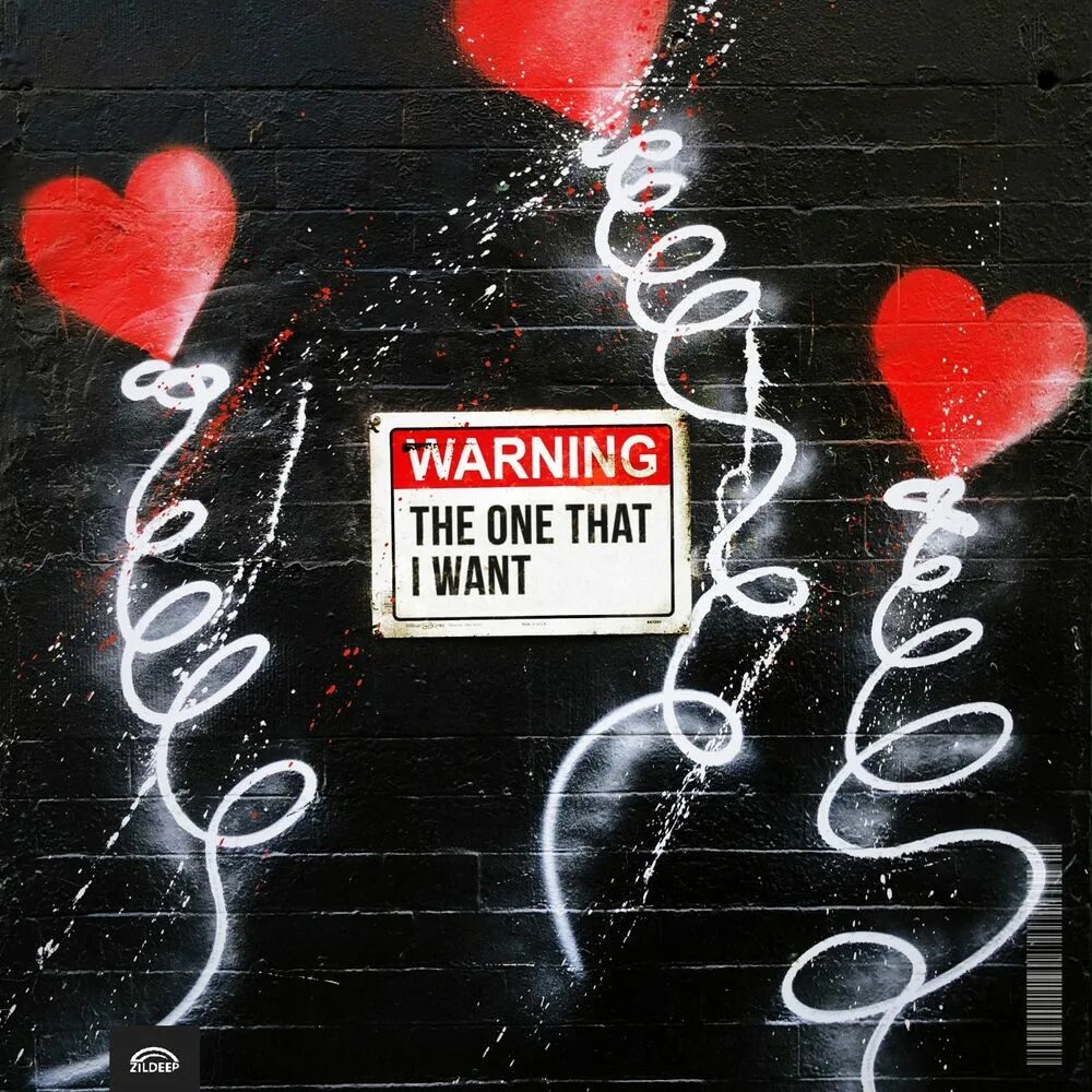 Your the one that i want