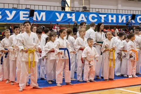 Фестиваль единоборств