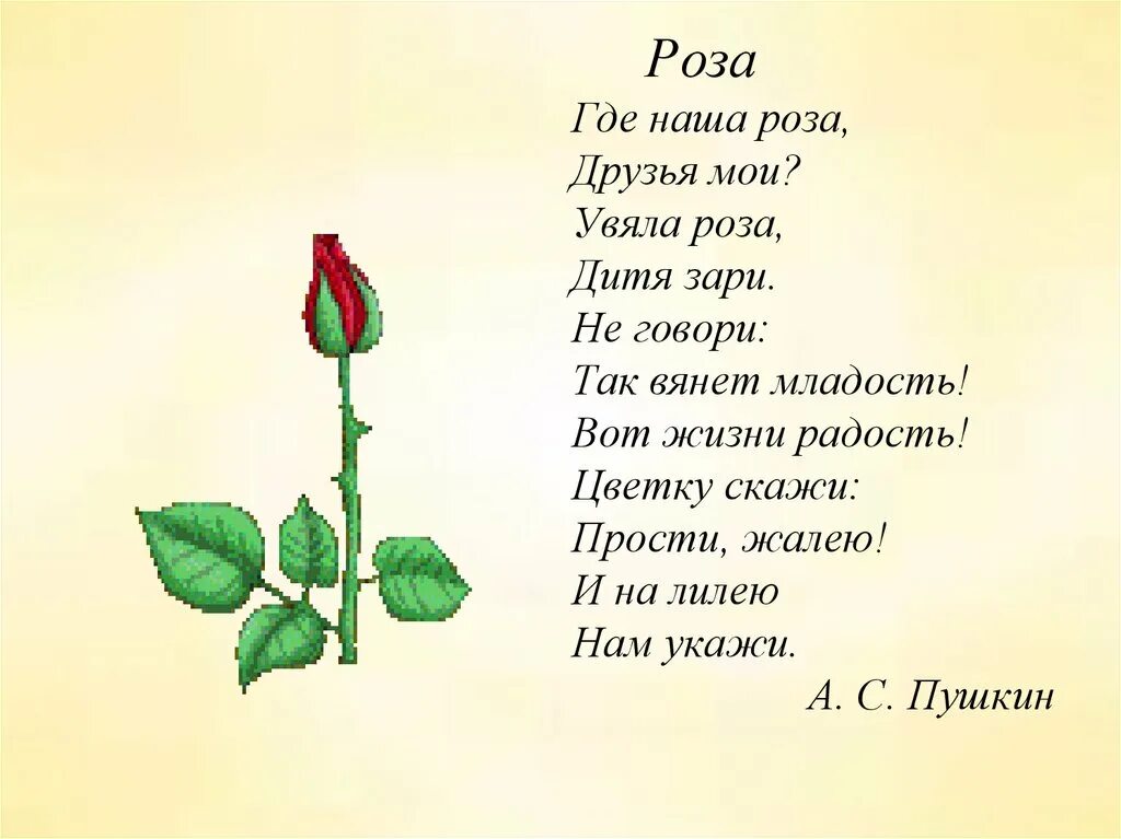 Стихотворение про розу. Стих цветок Пушкин. Детский стих про розу. Цветов стихотворение а с пушкин