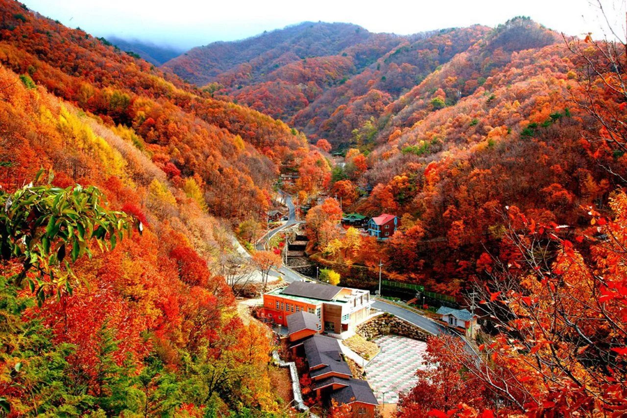 Национальный парк Сораксан Южная Корея. Сеул Южная Корея природа. Одэсан Южная Корея. Южная Корея Сеул осенью.