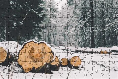 Древесина зимой