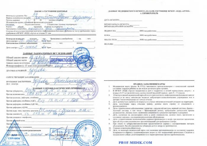 079 образец заполнения. Медсправка 079у артек.