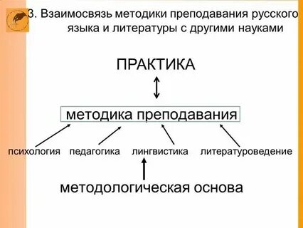 Связь развития речи с другими науками