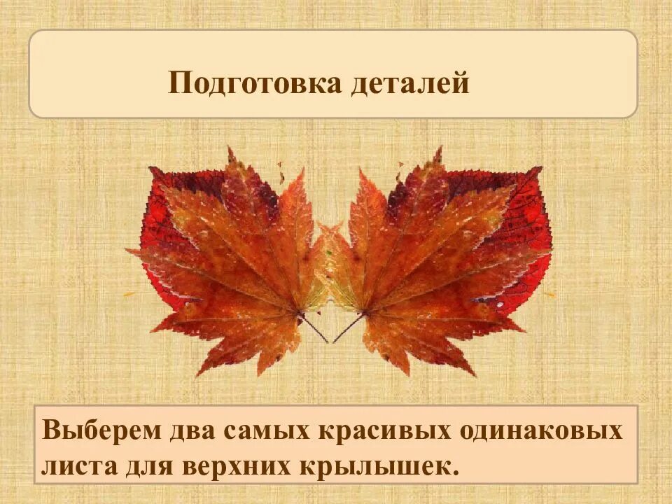 Бабочка красавица пришла к дальше. Два одинаковых бруска толщиной 5 см и массой 1 кг каждый связанные. Цветной лист. Найди пару листиков. Лист бумаги делят на 8 частей.