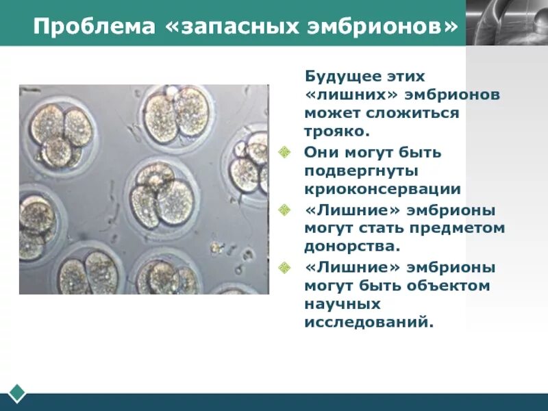 Судьба лишних эмбрионов. Вкладыш эмбриопротокола. Криоконсервация яйцеклеток. Эмбрион при эко. Утилизация эмбрионов.
