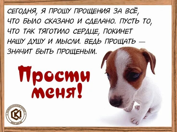 Не будь зол поздравить