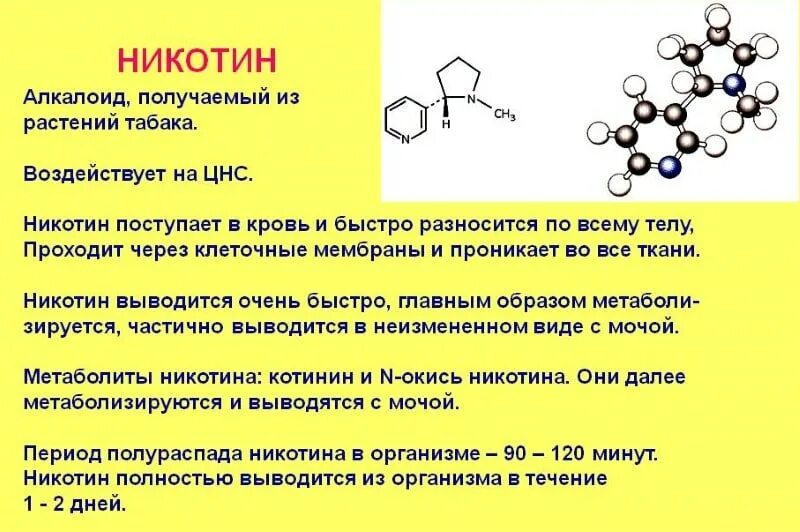 Видно ли в моче никотин. Химический состав никотина. Формула молекулы никотина. Никотин структурная формула. Никотин строение молекулы.