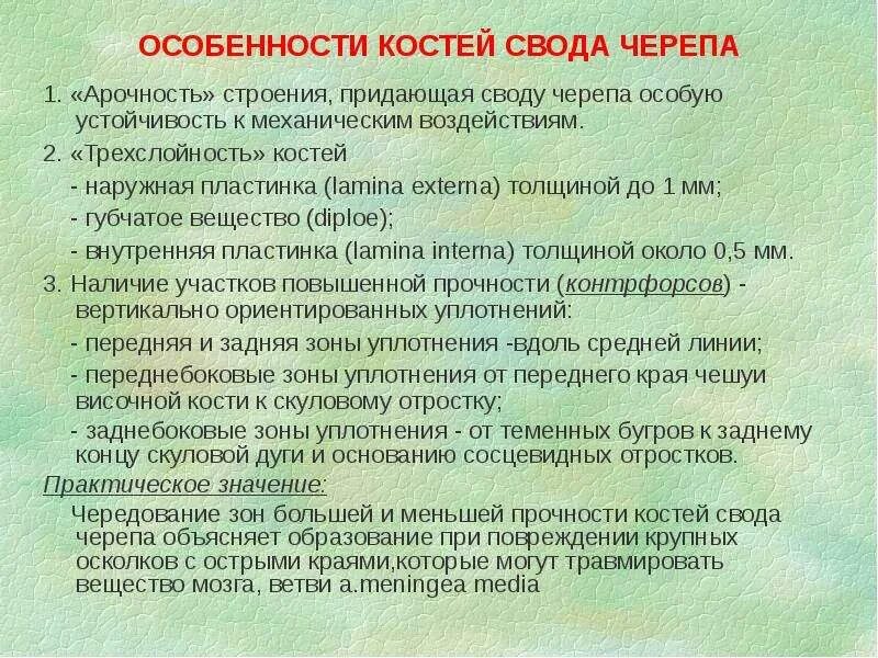 Внутренняя компактная пластинка костей свода черепа. Мультиформная пластинка коры мозга. Наружная и внутренняя костная пластинка. Генеральные костные пластинки. Внутренняя пластинка костей свода черепа.