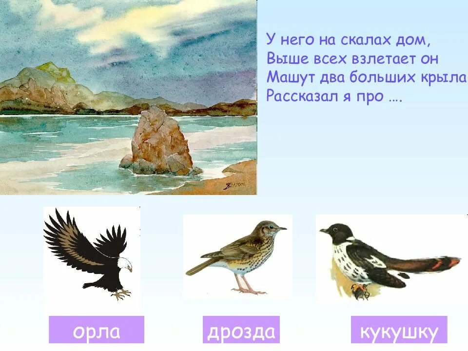 Два крыла загадка. Загадка про орла. загадка про орла для детей. загадки про орлов. стих про орла.