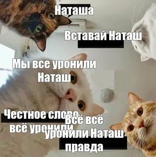 Вставай малышка