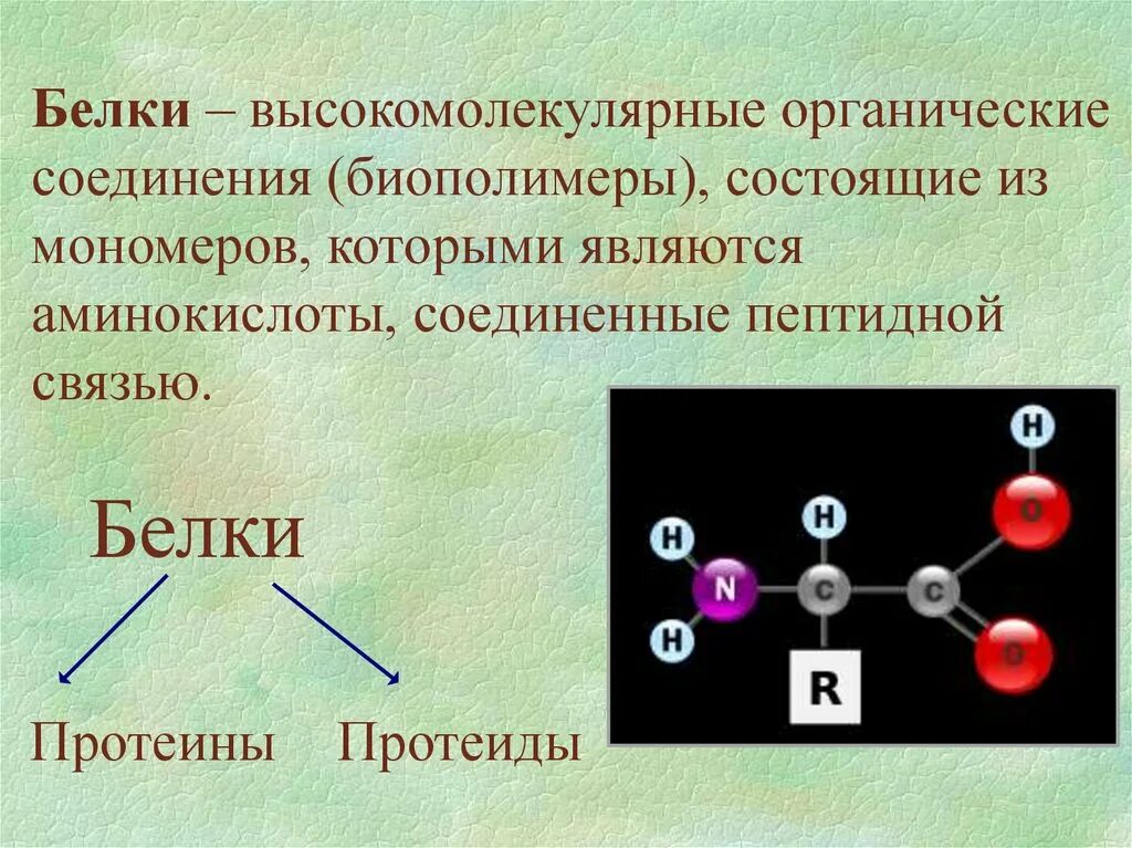 Мономеры белка состоят. Белки высокомолекулярные органические. Органические соединения белки. Белки высокомолекулярные органические соединения состоящие. Белки органические вещества.