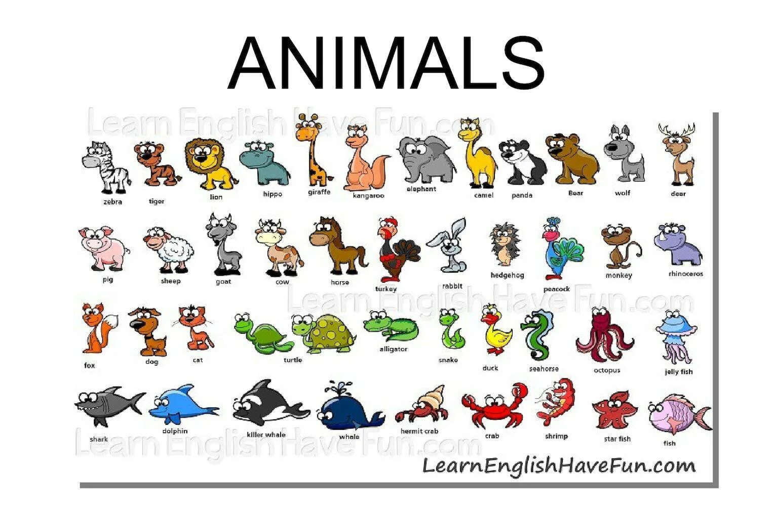 Animals translate