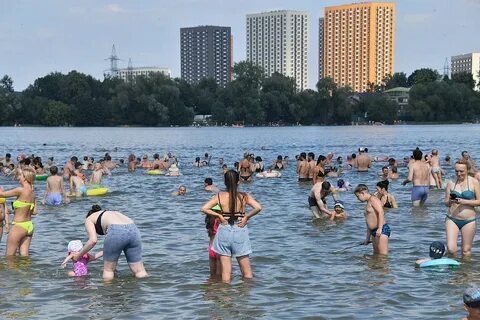 Пляжи москвы 2024 где можно купаться