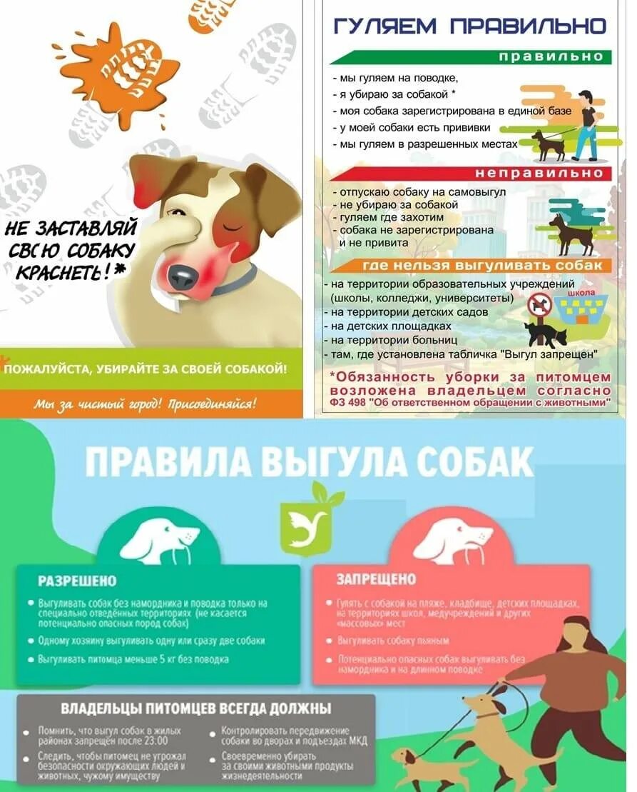Выгул собак в городе закон. Выгул собак. правила выгула домашних животных. правила выгула собак. закон о выгуле собак.
