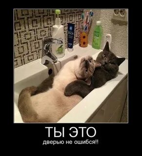 Просто вы дверь перепутали