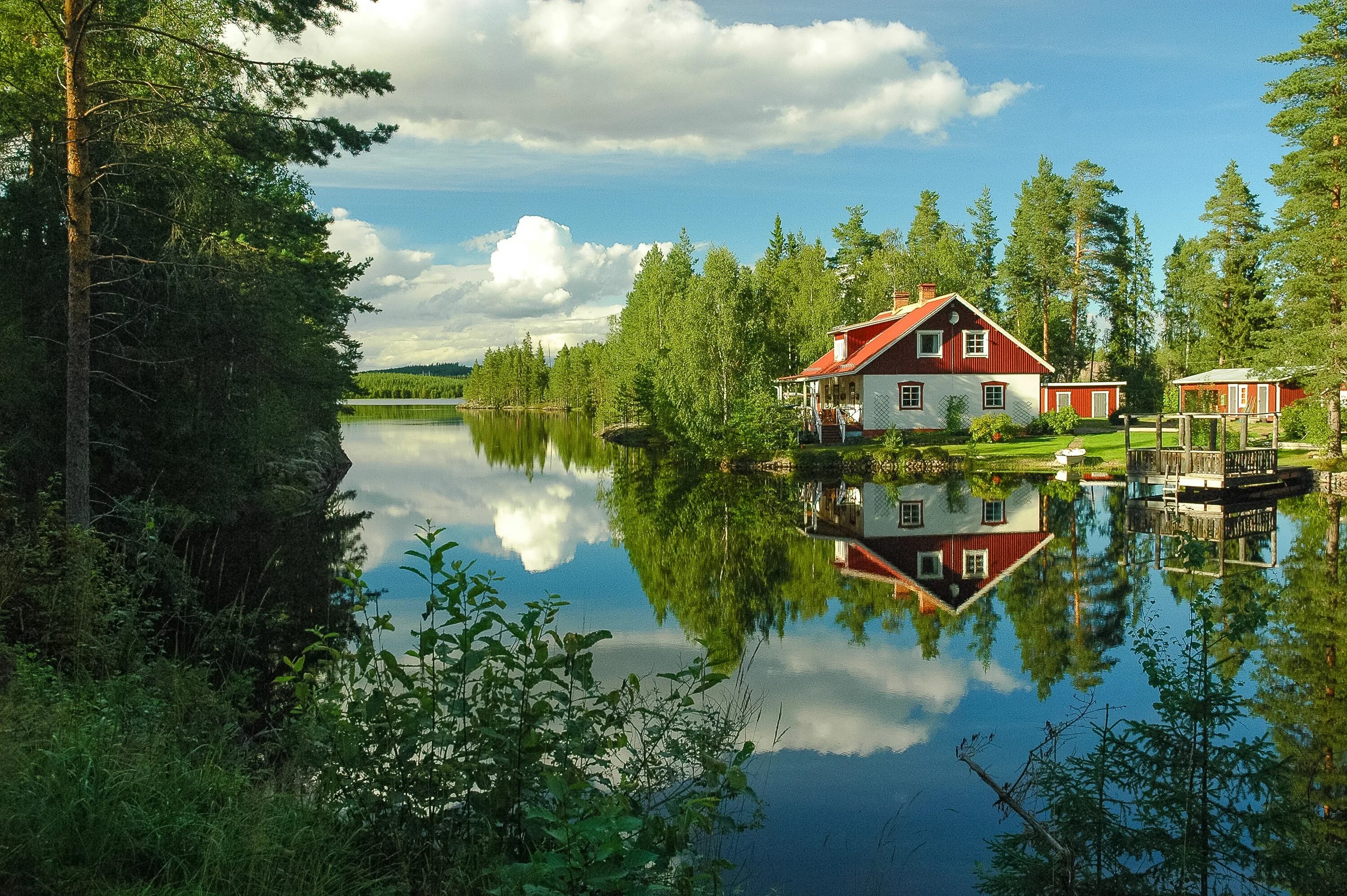 House near the lake. Лес горы штат Монтана домик у озера. Домик у озера Монтана. Дом на берегу лесного озера.