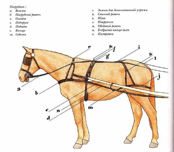 Упряжь для лошади схема русская. Дуговая упряжь для лошади. Элементы упряжи лошади в телегу. Упряжь для лошади из чего состоит.