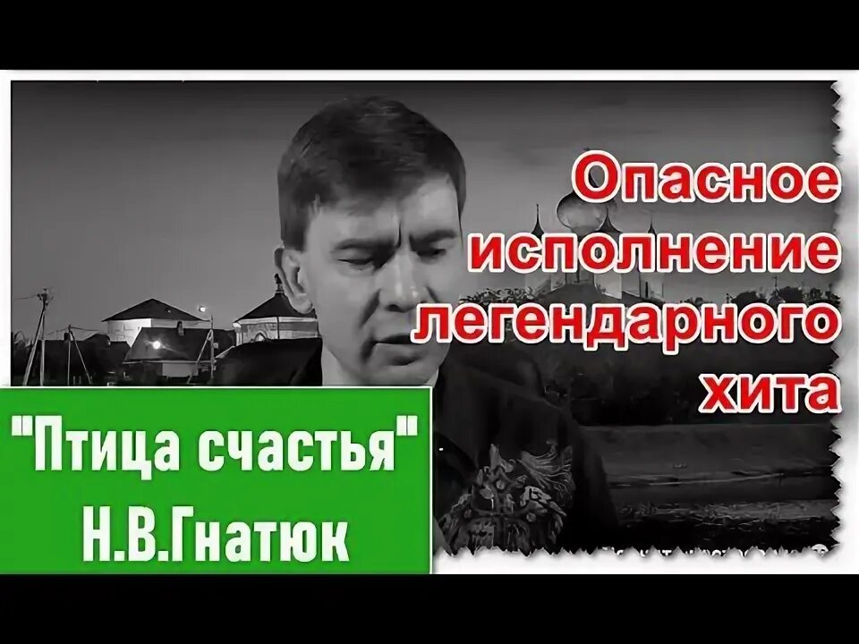 Гнатюк птица завтрашнего дня. Птица счастья завтрашнего дня гнатюк.