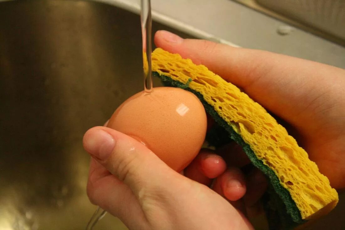 Мыть ли куриные яйца. Яйцо зараженное сальмонеллой. Сальмонеллез яйца куриные. Микробы на скорлупе яиц.