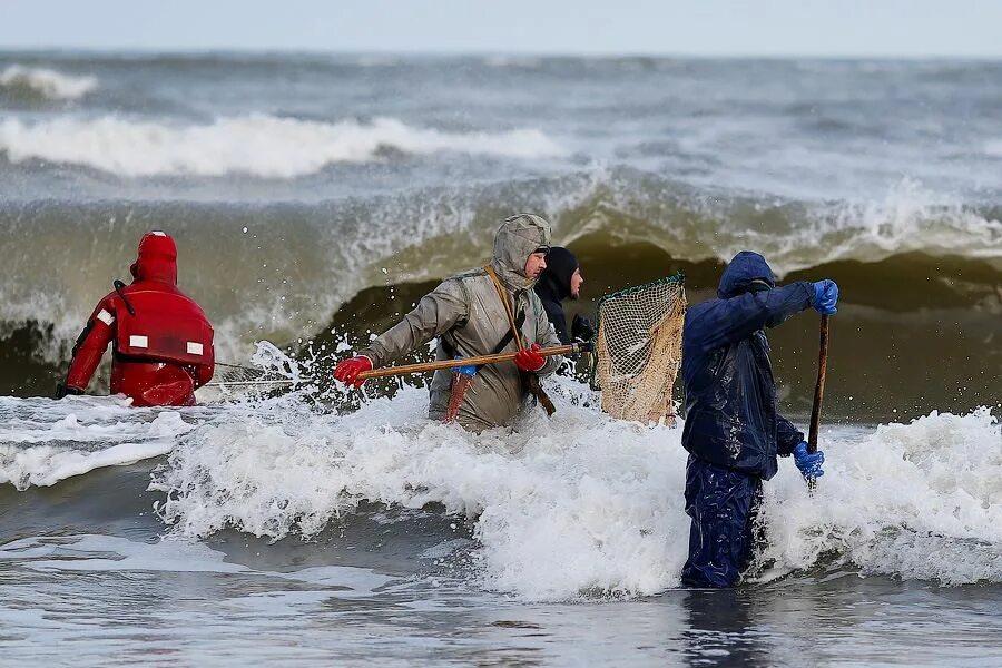 Балтийское море калининград. Использование балтийском море. Использование балтийском море. Балтийский берег калининград. Ресурсы балтийского моря.