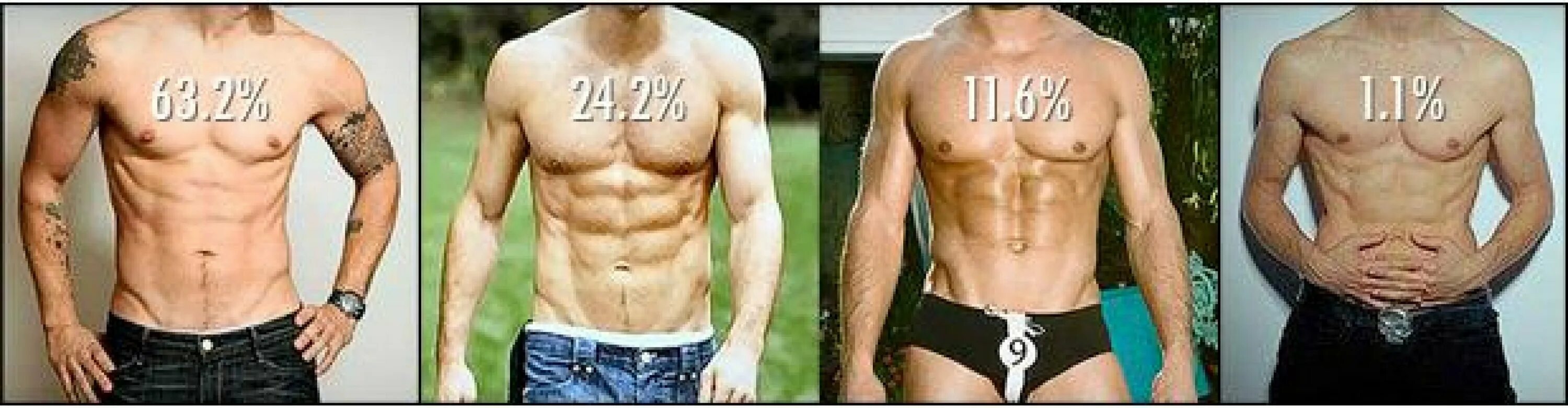 Идеальный дворец фердинанда шавваля. The most ideal. Деревья вьетнама. The most ideal. The most ideal.