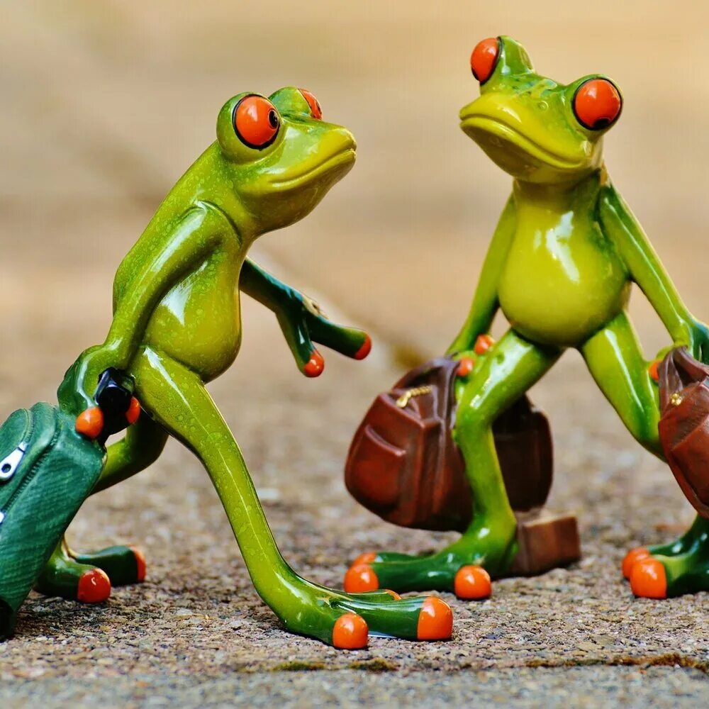 Лягушки путешественники. Жабы путешествуют. Весёлые фигурки. Веселая лягушка. Прикольный лягушонок.