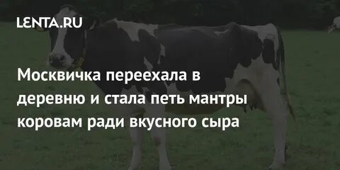 Стан пет