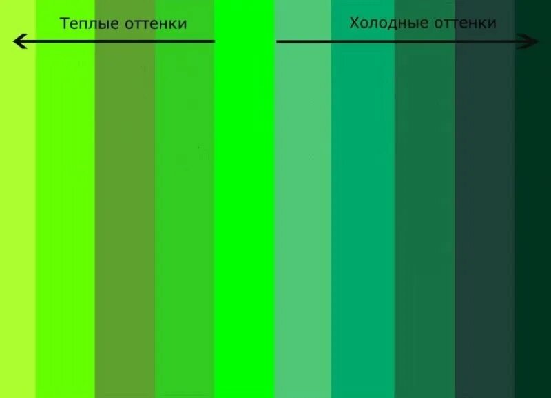 Оттенки зелёного цвета. Теплые оттенки зеленого. Холодные оттенки зеленого. Теплые и холодные оттенки зеленого.