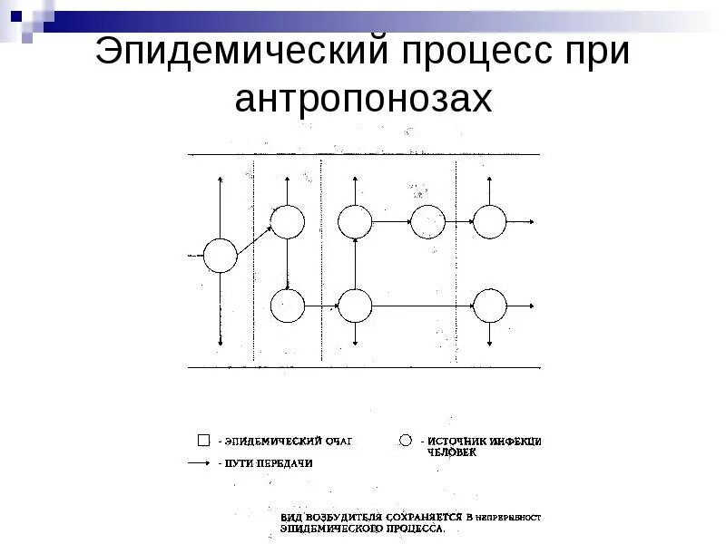 Эпидемический процесс состоит из звеньев