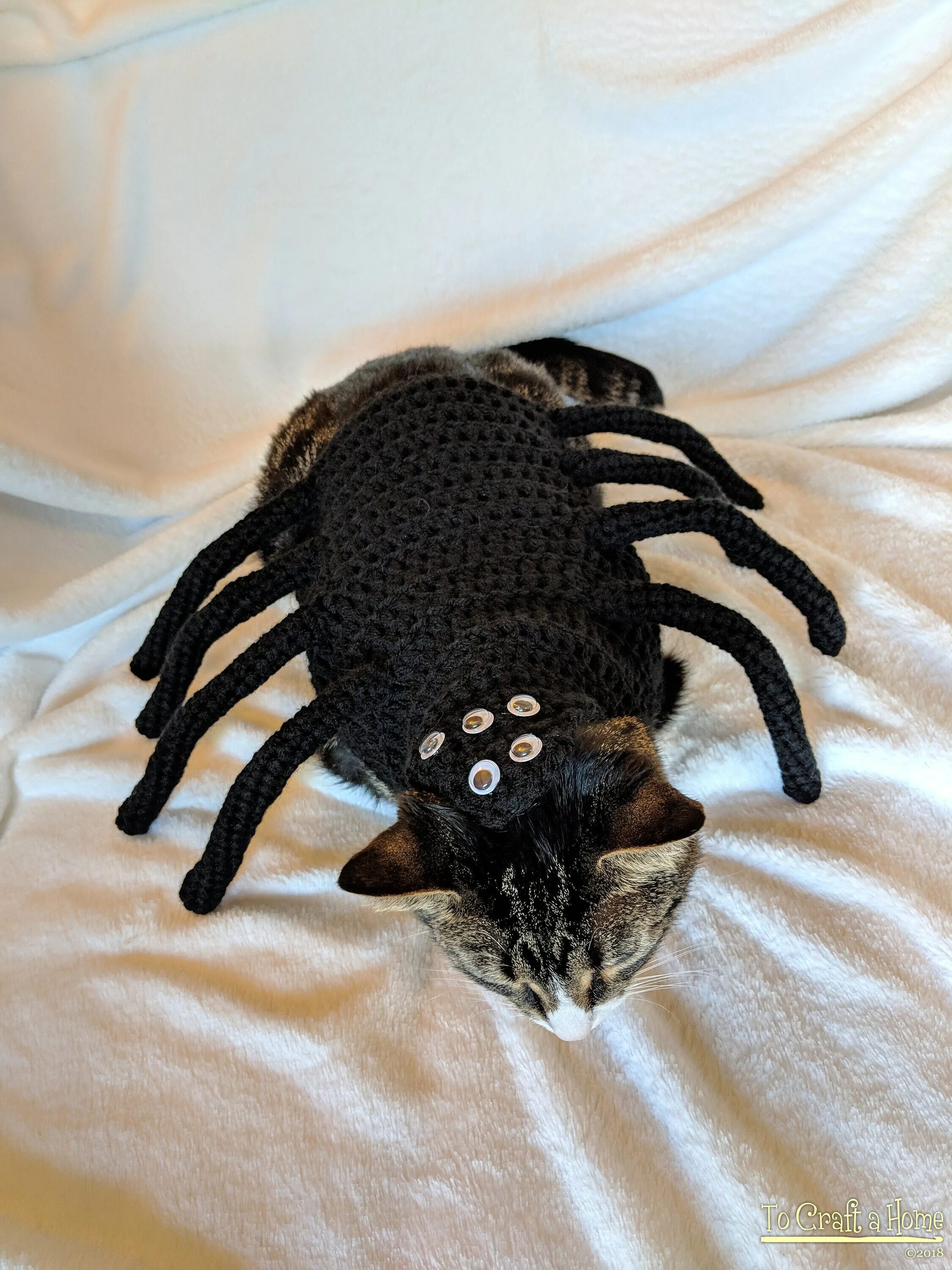 Включи кот паук. Кот паук. Кот в костюме паука. Костюм паука для кошки. Лапки для костюма паука.