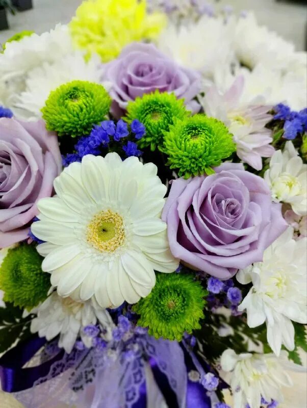 дом цветов рубцовск. дом цветов рубцовск. дом цветов рубцовск. дом цветов рубцовск. дом цветов рубцовск.