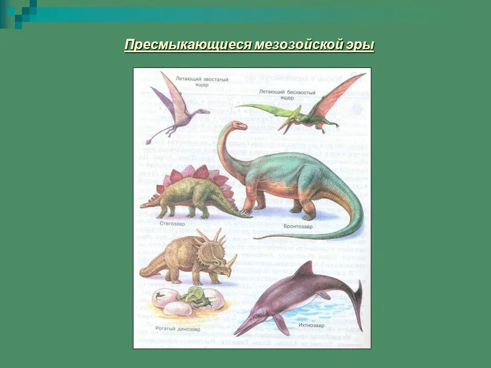 Пресмыкающиеся в мезозойскую эру. Древние пресмыкающиеся представители. Рептилии мезозойской эры. Мезозойская эпоха рептилии.