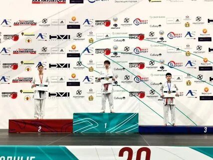 Каратэ кубок успеха