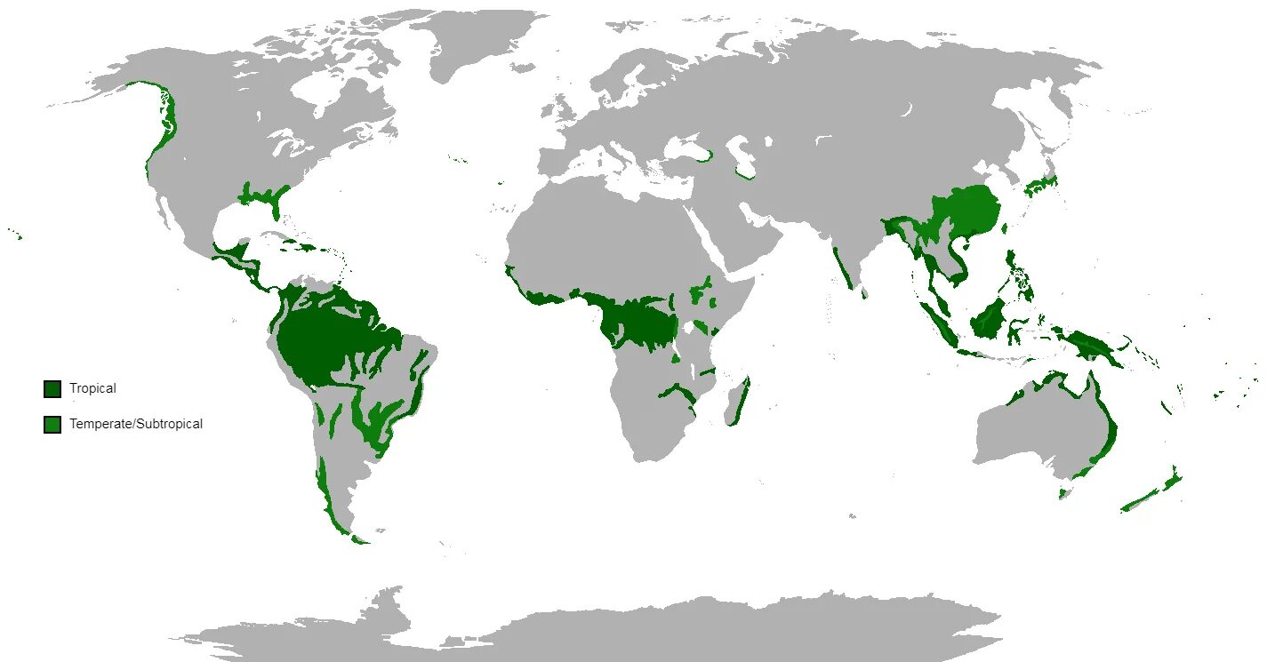 В каких странах есть леса. Влажные вечнозеленые тропические леса на карте. Где находятся влажные экваториальные леса на карте. Зона влажных экваториальных лесов на карте.