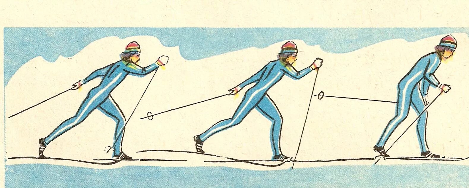 Шаг лыжника. Двухшажный ход на лыжах. Двухшажный классический ход на лыжах. Техника лыжных ходов попеременный ход. Лыжные ходы классика ход.