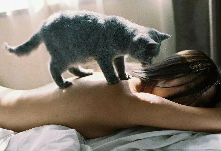 Галина дубененко 1920. Красивые киски девчонок. Девушка называет кисой. Красивая девушка с котиком. Девушки киса.