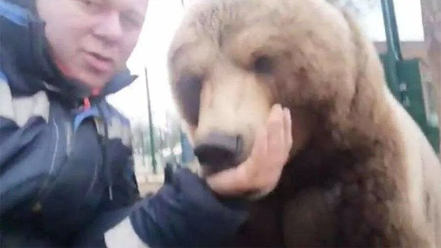 собака вывела медведей на хозяина чем закончилось