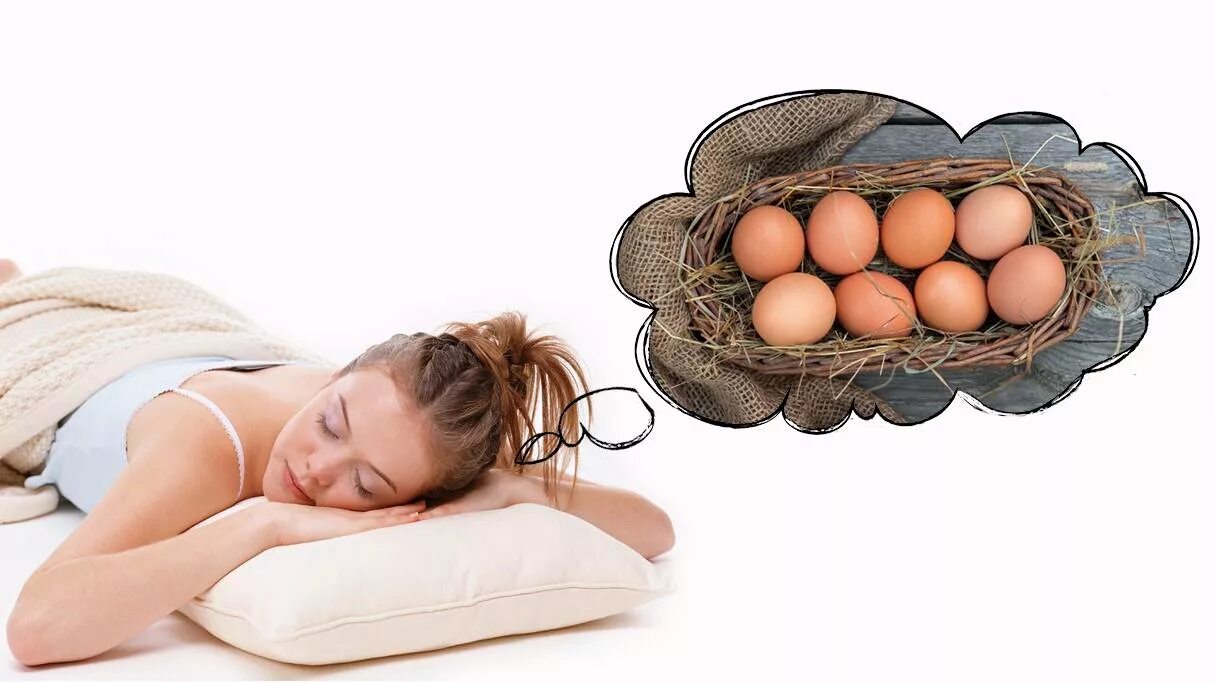 К чему снится собирать много куриных яиц. Приснились куриные яйца. Приснились яйца куриные во сне. К чему снятся яйца куриные.