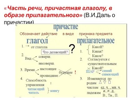 Причастие к слову лес