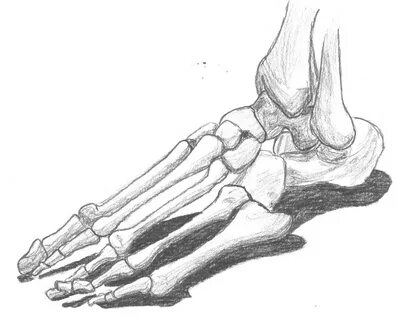 Hole foot