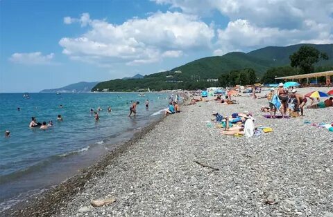 Село криница воронежская область