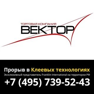 Компания вектор
