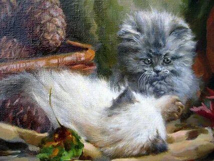 Kitties galleries