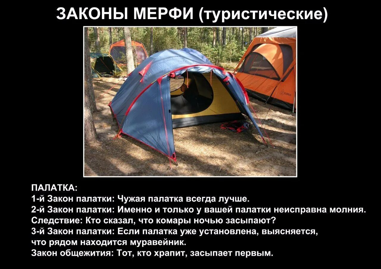 Законы туриста шуточные. Высказывания про туризм. Законы мерфи туристические. Закон мерфи. Законы мерфи туристов.