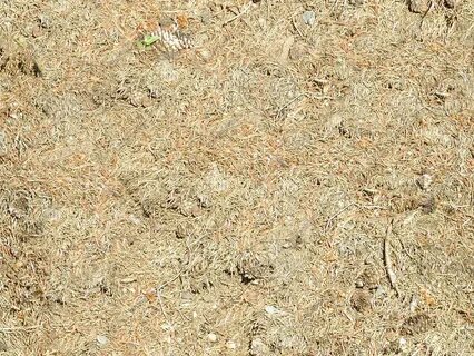 Ground first